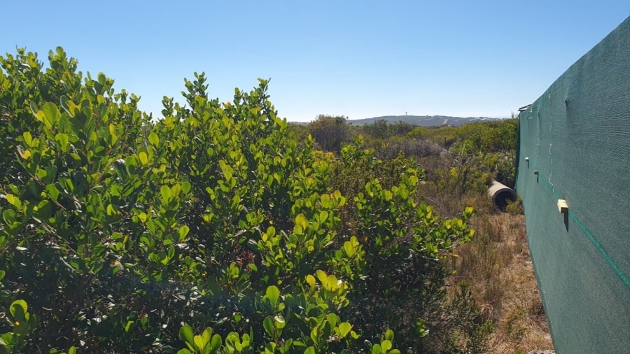 3 Bedroom Property for Sale in Dana Bay Western Cape